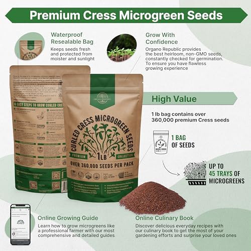 Organo Republic Cress Sprouting & Microgreens Seed - 360,000 Non-GMO Heirloom Seeds, Sprouts in Bulk 1lb Resealable Bag for Planting & Growing Microgreens in Soil, Coconut Coir, Aeroponic & Hydroponic - Image 2