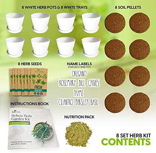 Herb Garden Starter Kit - 8 USA Culinary Herbs - Image 3