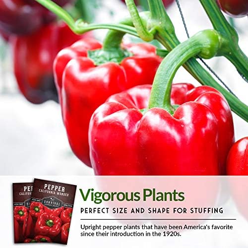 California Wonder Red Bell Pepper Seeds for Planting (5 Pack) - Image 7