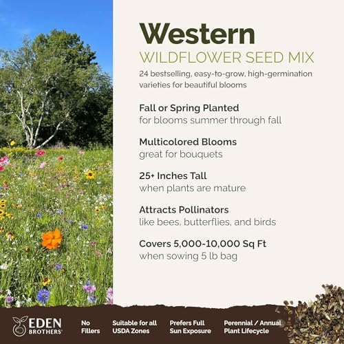 Eden Brothers Western Wildflower Mixed Seeds for Planting, 5 lb, 2,400,000+ Seeds with Cornflower, Blanket Flower | Attracts Pollinators, Plant in Spring or Fall, Zones 3, 4, 5, 6, 7, 8, 9, 10 - Image 2