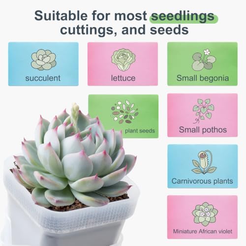 12 Pcs Clear Small Self Watering Pots for Indoor Plants - Image 3