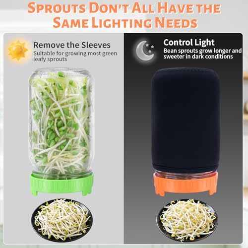 Seed Sprouting Jar Kit with Mung Beans 2.9oz-2 Jars - Image 3