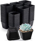 250 Packs Square Nursery Pots for Plants 4 Inch Seedling Pots by Unknown