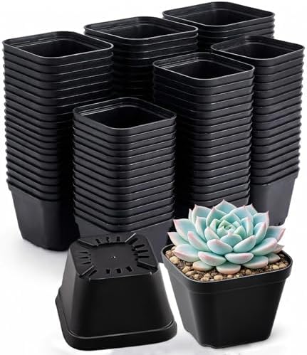 250 Packs Square Nursery Pots for Plants 4 Inch Seedling Pots by Unknown