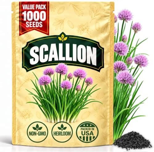 Chives Seeds for Planting, Heirloom Non-GMO Culinary Herb, 1000 Count Scallion by WilyFox