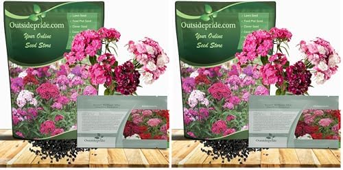 Outsidepride Sweet William Dianthus Seeds - 5000 Pcs. Perennial, Winter Hardy Wildflower Seeds w/Fragrant & Vibrant Blooms, Ideal for Pollinator Gardens, Cut Flowers & Colorful Landscaping (Pack of 2) by Outsidepride