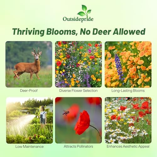 Outsidepride Deer Proof Wildflower Seed Mix - 5 lbs. Colorful Blend of Easy to Grow, Drought-Tolerant Annual & Perennial Wildflower Seeds for a Deer-Free,Vibrant Meadow & Pollinator-Friendly Garden - Image 3