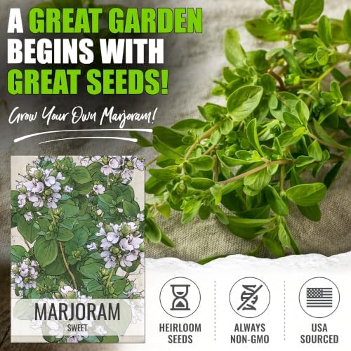 Seed Needs Sweet Marjoram Seeds to Plant an Herb Garden - 5 Packs - Image 2