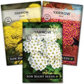 Sow Right Seeds - Yarrow Seed Collection for Planting Perennial Medicinal by SowRightSeeds