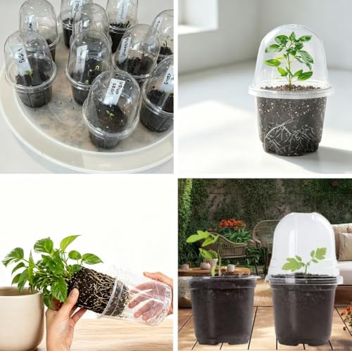 12PCS 3.8Inch Clear Seedling Pots with Humidity Domes and Drainage Holes - Image 5
