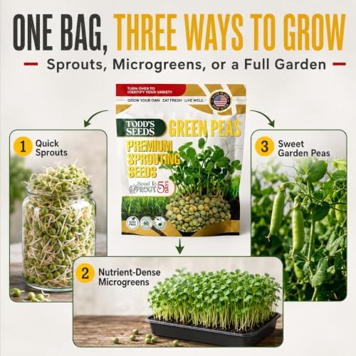 Todd's Seeds Green Pea Sprouting Seeds 1/4lb - Non-GMO Triple-Cleaned - Image 5