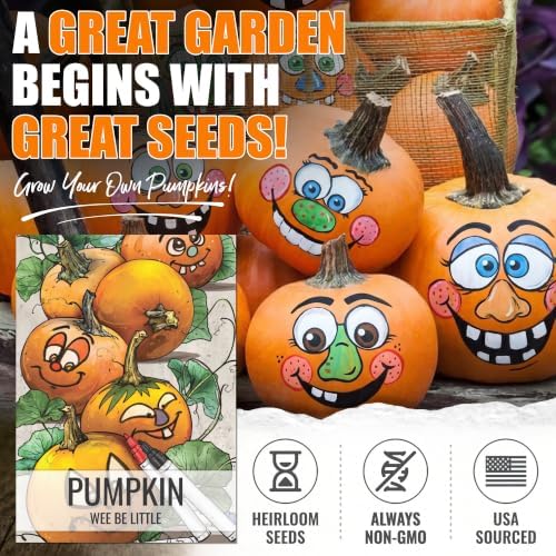 Seed Needs Wee Be Little Pumpkin Seeds to Plant Vegetables - 5 Packs - Image 2