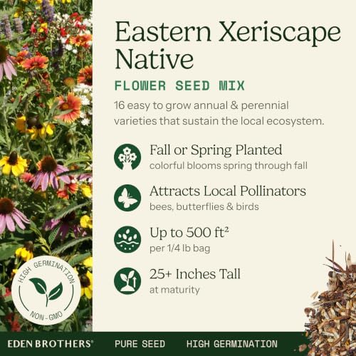 Eden Brothers Native Eastern Xeriscape Flower Seed Mix, 1/4lb,16 Drought Tolerant Wild Flower Seed Varieties,100% Pure No Fillers,Native Seeds for Planting Outdoors,Attracts Pollinators & Hummingbirds - Image 2
