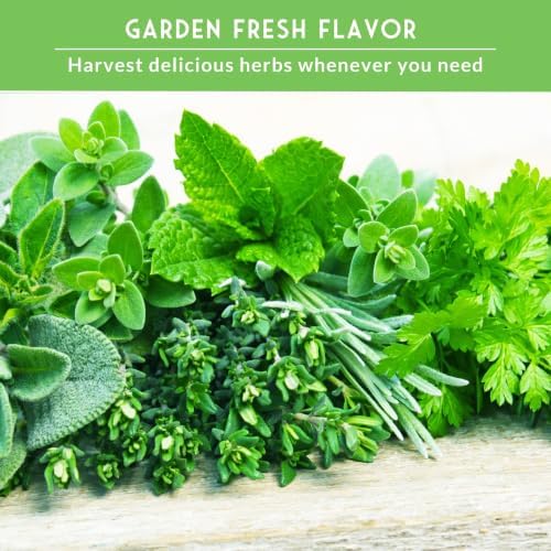 Culinary Herb Seeds 18 Variety Pack for Planting Indoors or Outdoors - Image 4