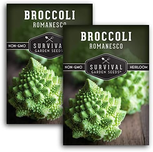 Romanesco Broccoli Seeds for Planting - Survival Garden Seeds (2 Packs) by SurvivalGardenSeeds