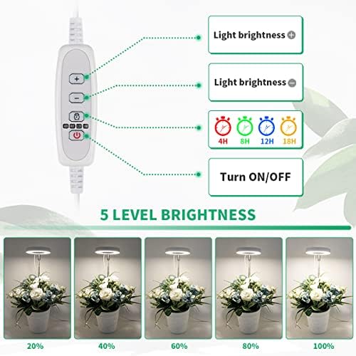 Halo Plant Grow Light, 6000K White LED Full Spectrum Growing Lamp for Indoor Plants, Succulents, Mini Bonsai, Small Plants, Height Adjustable, Dimmable & Timer 4/8/12/18Hrs - Image 5