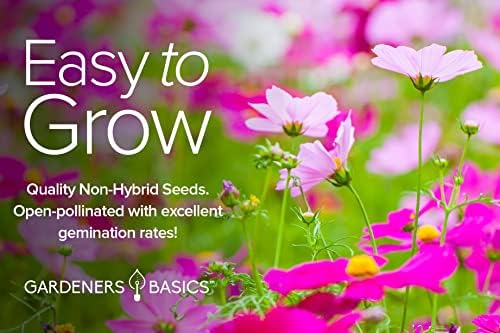 Gardeners Basics, Cosmos Seeds for Planting Outdoors Flower Seeds (4 Variety Pack) Cosmos Candystripe, Sensation Mix, Dazzler, Purity Pink and White Varieties for Bees, Pollinators Wildflower Seed - Image 7