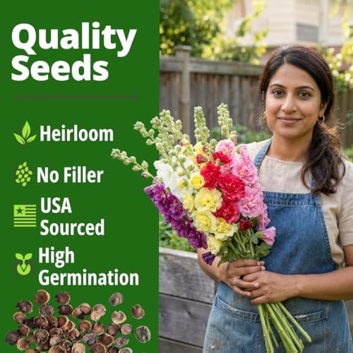 HOME GROWN Hollyhock Seeds, Chater's Double Mix, 2,400 Seeds, Alcea rosea - Image 5