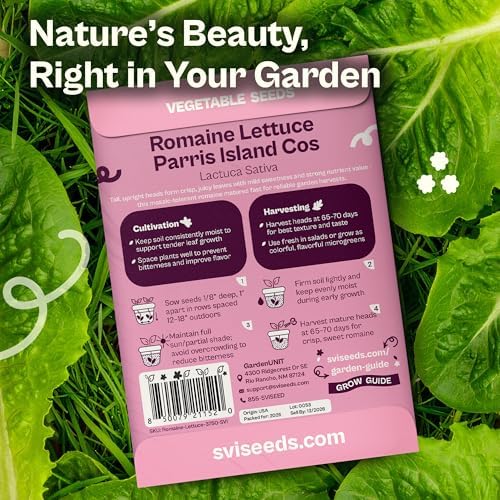 SVI 3750 Parris Island Cos Romaine Lettuce Seeds (Lactuca Sativa) – Green Leaf Lettuce Romaine Seed Packets – Disease Resistant, Heirloom Vegetable Seeds for Outdoor Vegetable Garden - Image 2