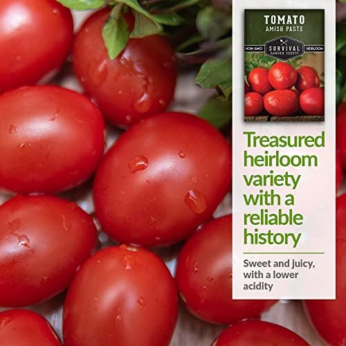 Amish Paste Tomato Seeds for Planting - 1 Pack - Image 4