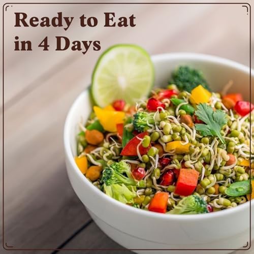 Seedboy Organic Non-GMO Sprouting Seeds (Mung Bean) - Image 5