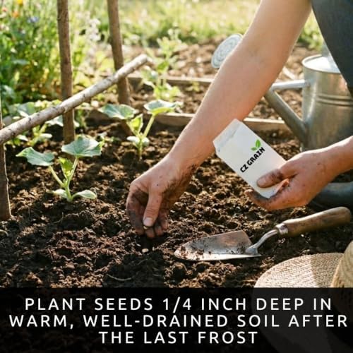 Green Tomatillo Seeds for Planting | Heirloom Salsa Verde | 100 Seeds - Image 4