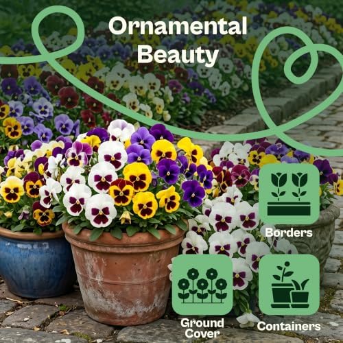 SVI 800 Mix Swiss Giants Pansy Seeds (Viola wittrockiana) – Edible Pansies Flower Seed Packets, Heirloom Garden Seed Mix, Perennial Flower Seeds Packets for Borders, Containers, Outdoor Garden - Image 4