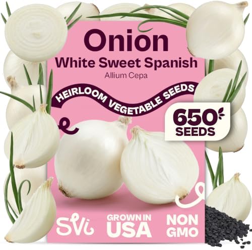 SVI 650 White Sweet Spanish Onion Heirloom Vegetable Seeds Allium cepa by SVI