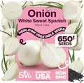 SVI 650 White Sweet Spanish Onion Heirloom Vegetable Seeds Allium cepa by SVI