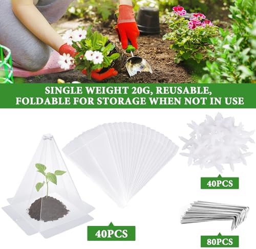 Reusable Plastic Garden Cloches, 7.8" x 11" Mini Greenhouse, 1.2mm Thick Clear Bell Covers with Metal Stakes Against Sun, Frost, Snails, Plant Protector (40pcs-Clear) - Image 6