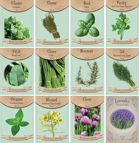 Herb Seed Pack Collection - 12 Varieties Including Basil, Parsley, Rosemary, Dill, Chives, Garlic Chives, Oregano, Mustard, Thyme, Cilantro, Sage & Lavender - Great for Gardening & Cooking by FreedomFarms