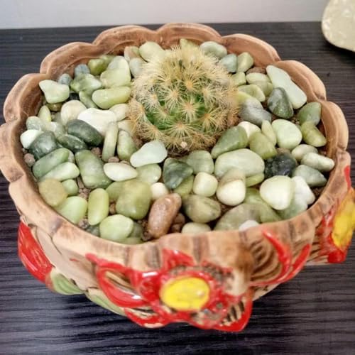 2LB Succulent Jade Pebbles for Indoor Plants, 3/8 Inch Natural Decorative Polished Stones, River Rocks for Landscaping,Vase, Flowerpot Decoration, Indoor Decoration and Garden Decoration - Image 4