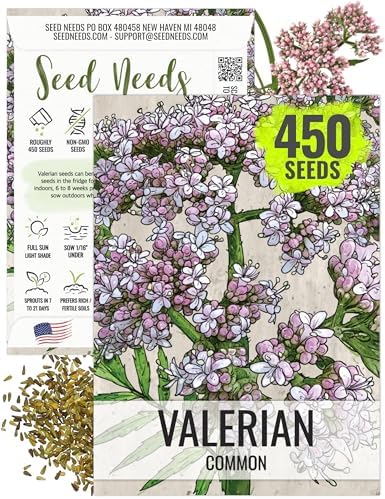 Seed Needs Valerian Seeds to Plant an Herb Garden - 1 Pack by SeedNeeds