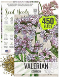 Seed Needs Valerian Seeds to Plant an Herb Garden - 1 Pack by SeedNeeds