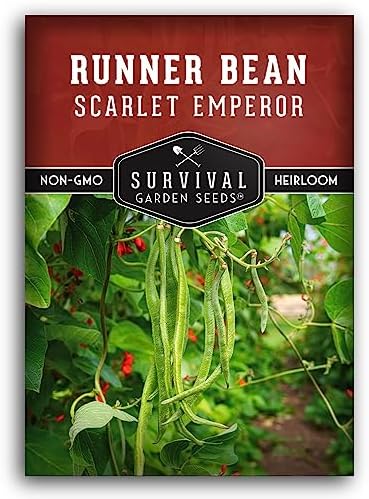 Scarlet Emperor Bean Seeds for Planting - Survival Garden Seeds (1 Pack) by SurvivalGardenSeeds
