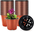 KINGLAKE 100 Pcs 6" Plastic Plants Nursery Pot/Pots Seedlings Flower Plant Container Seed Starting Pots by KINGLAKE