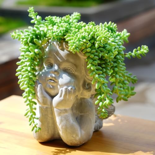 Sprout N Green Donkey's Tail, Live Sedum Morganianum-Burro's tail Succulent in 4" Pot, Trailing Plant for Home Office Indoor Outdoor Hanging Decor, DIY Project, Party Favor, Pet Friendly, Easy to Care - Image 4