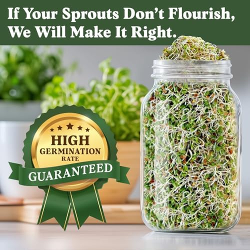 Seedboy Organic Non-GMO Sprouting Seeds (Red Clover) - Image 3