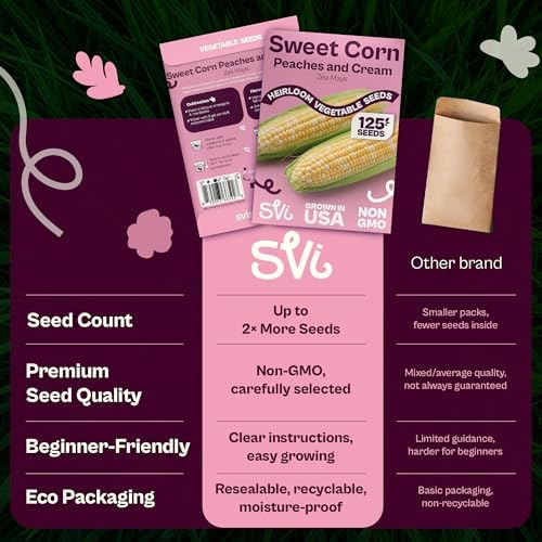 SVI 125 Peaches and Cream Corn Seeds (Zea mays) – Peaches & Cream Super Sweet Corn Seed Packets, Bicolor Sweet Yellow – Non GMO Heirloom Vegetable Seeds Outdoor Vegetable Garden Seed, Home Garden - Image 6