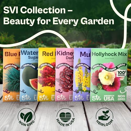 SVI 1000 Alaska Shasta Daisy Seeds (Leucanthemum) – White Daisy Flowers Seed Packets Bulk – Heirloom Wild Flowers, Perennial Flower Seeds for Indoor Garden & Outdoor Garden, Containers, Flower Beds - Image 7