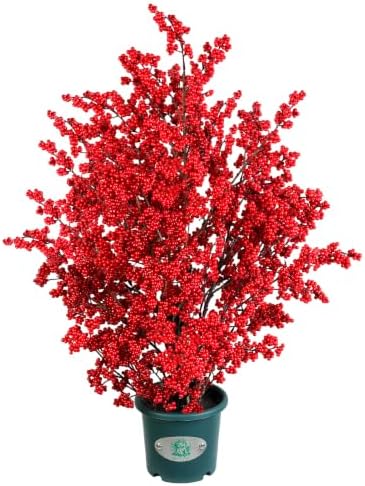 33 Inch Artificial Red Berry Potted Plant, Tall Faux Berry Bush Christmas Floor Decor for Front Porch, Entryway, Living Room, Fireplace Indoor Farmhouse Holiday Decoration by QIANYUN