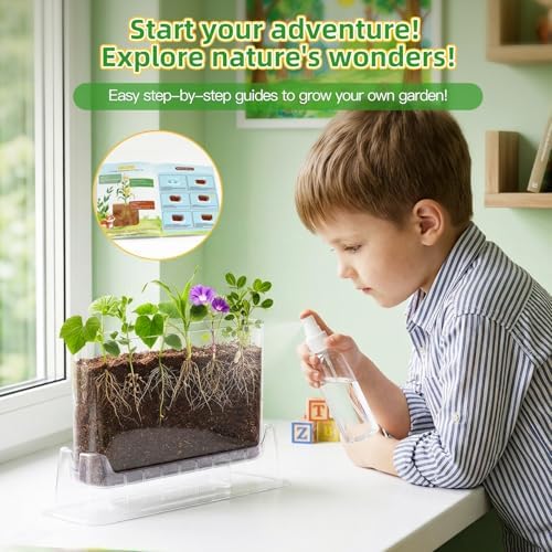 TitaniX Root Viewer Kit for Kids with 6 Seed Varieties, STEM Science Toy & Craft Growing Kits for Boys & Girls, Grow Your Own Plant for Ages 4-8 Birthday Gifts for Boy,4, 5, 6, 7, 8, Year Old - Image 5