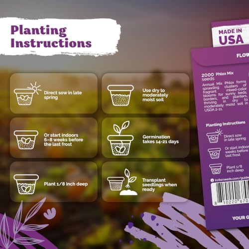 2,000 Phlox Heirloom Flower Seeds Mix for Planting, Phlox Drummondii - Image 3