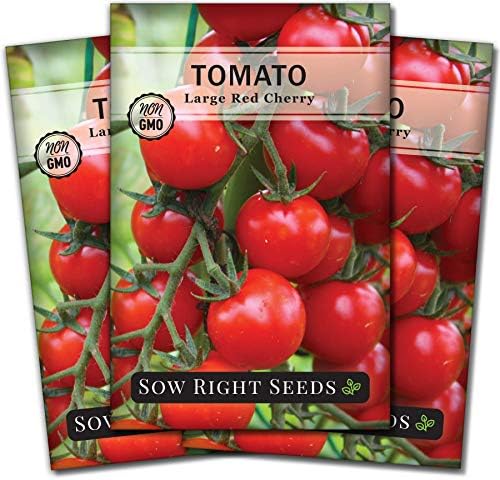 Sow Right Seeds - Large Red Cherry Tomato Seed for Planting Vegetable 3pk by SowRightSeeds