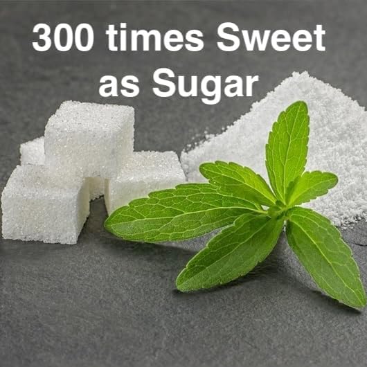 Stevia Sugar Leaf - 2 x 2 inch Bags - Image 5