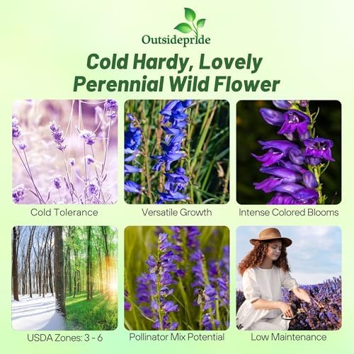 Outsidepride Penstemon Seeds - 5000 Pcs Perennial, Drought-Tolerant & Pollinator Friendly, Strictus Rocky Mountain Wildflower Seeds for Planting with Vibrant Blue-Violet Blooms, Ideal for Xeriscaping - Image 2