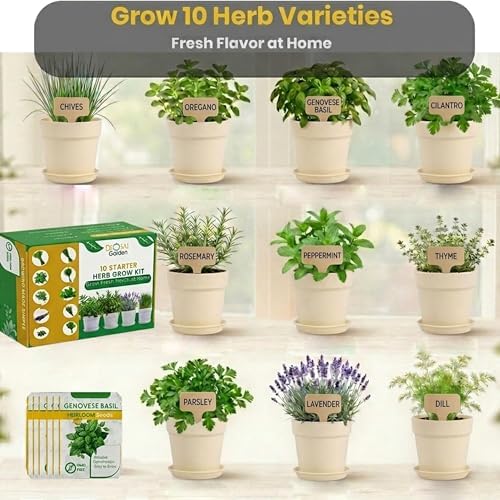 47 PCS Herb Garden Seeds Starter Kit, 10 Non-GMO Culinary Herb Seeds with Beige Pots & Planters for Windowsill, Herb Growing Kit Indoor & Outdoor, Unique Herb Garden Gift Set for Gardening Lovers - Image 2
