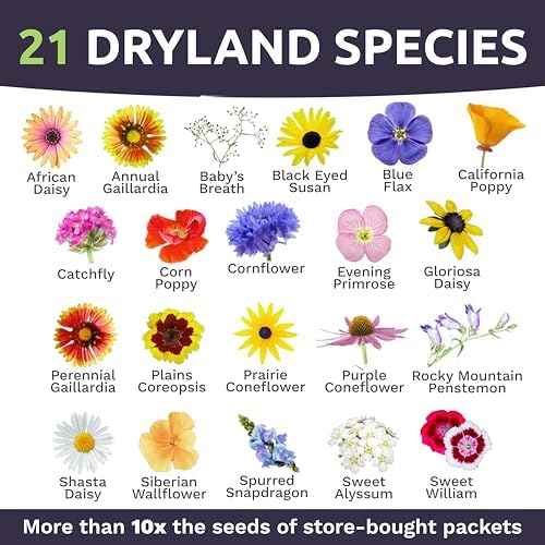 Drought Tolerant Wildflowers Mix – Bulk 1 Pound Bag – Over 120,000 Open Pollinated Non-GMO Seeds – 21 Different Dryland Species - Image 4