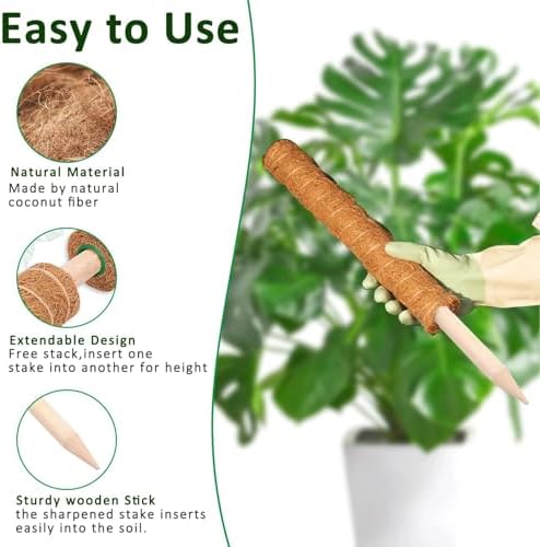 Moss Pole, 4Pack 21 Inch Plant Support Stakes for Indoor Plants, Monstera Plant Support Stakes, 69 Inch Tall Coir Plant Pole Sticks for Potted Plants, Pothos, Philodendron, Climbing Plants Accessories - Image 3