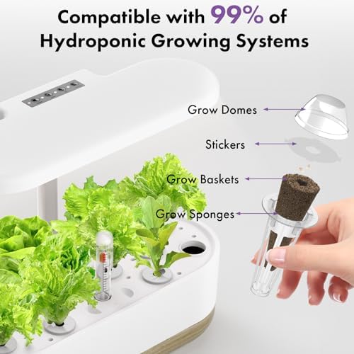 LYKOCLEAN Salad Romaine Lettuce Seed Pods for AeroGarden,Ahopegarden, iDOO Hydroponics Growing System,350 Seeds+ Including American Lettuce,Paris Island Cos,Buttercrunch (12-Pods) - Image 6